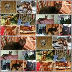 Yolanda Alvariño López