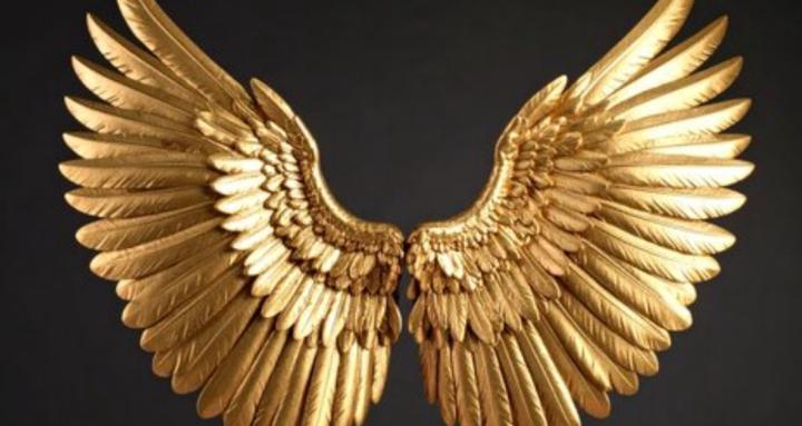 BHON MENTORING- FOUNDATIONS