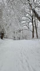 Rosario Zamora Tavío