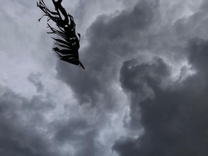 Abhilash Pottayath Raman