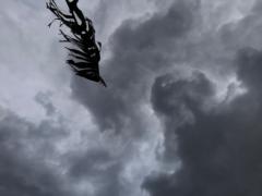 Abhilash Pottayath Raman