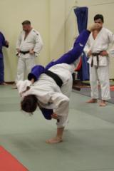 Elen Merelli