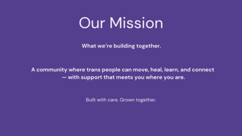 Trans Collective Archive gallery image
