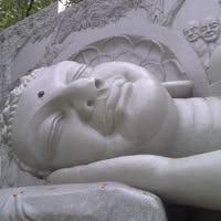Nga Nguyễn Thành