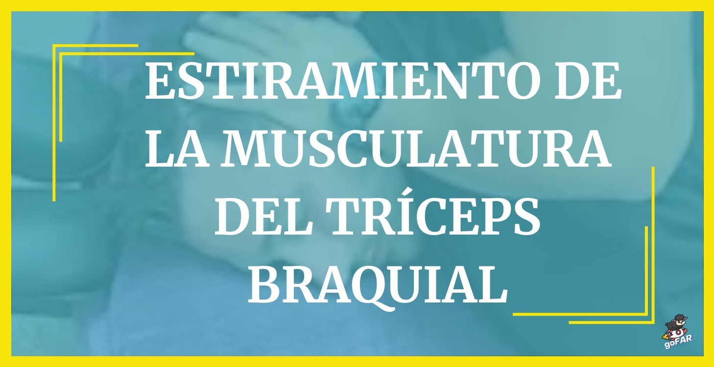 Estiramiento la musculatura del Tríceps Braquial