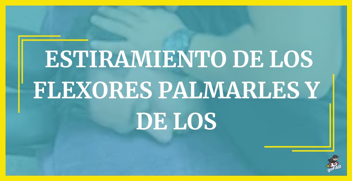 Estiramiento de los flexores palmarles y de los