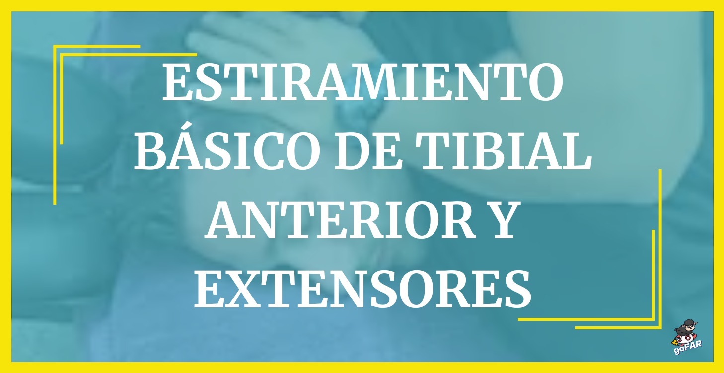 Estiramiento Básico deTibial anterior y extensores