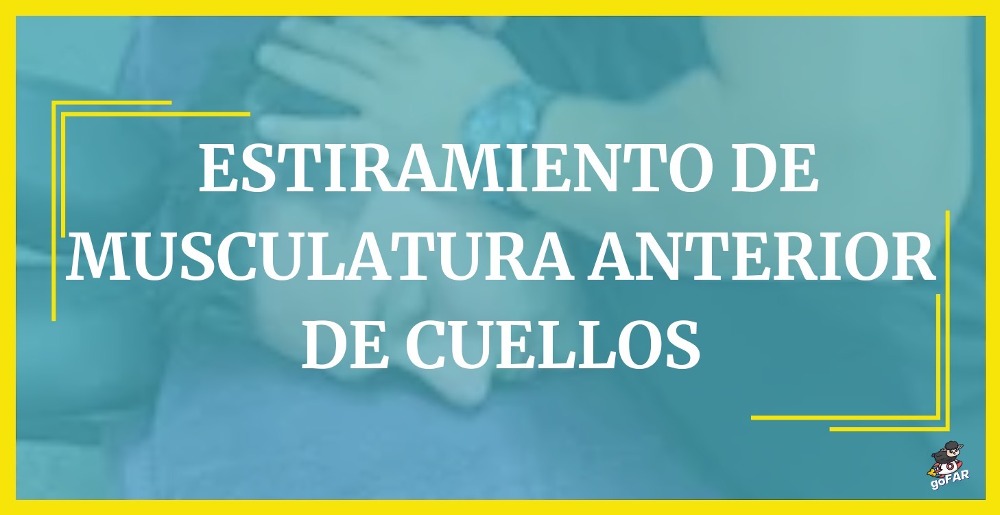 Estiramiento de musculatura anterior de cuellos