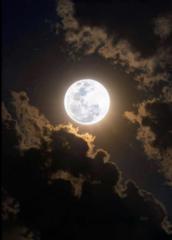 Midnight Glow