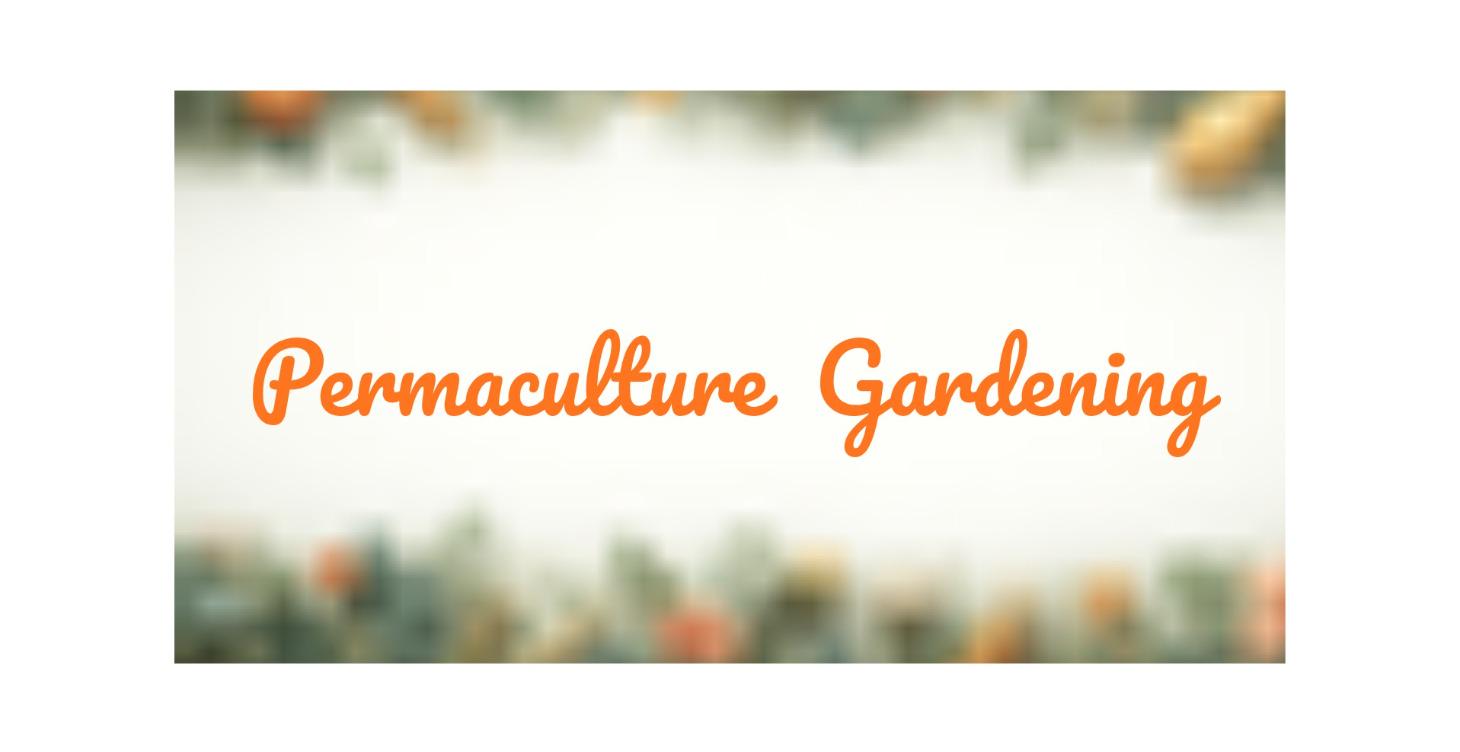 Permaculture Gardening