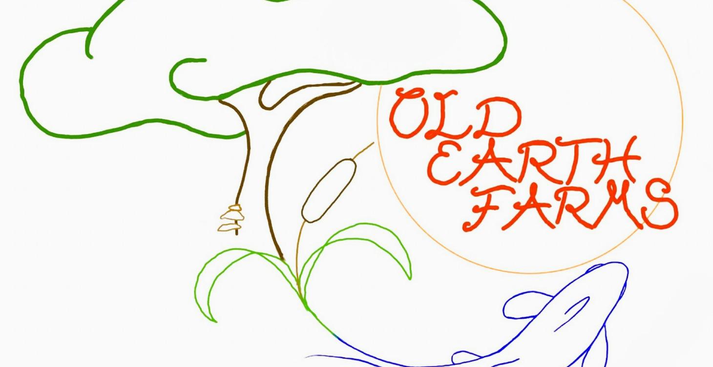 Permaculture Solutions - The Basics