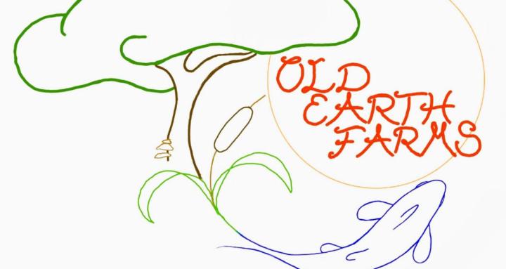 Permaculture Solutions - O.E.F