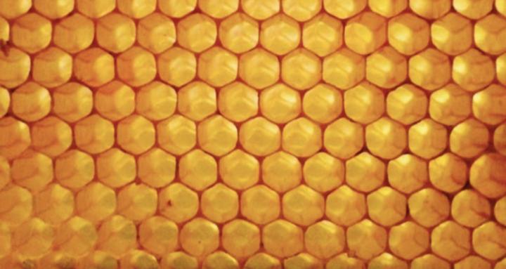 Desenho Contemplativo 