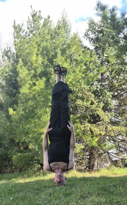 Tree's 🌲🌲🌲