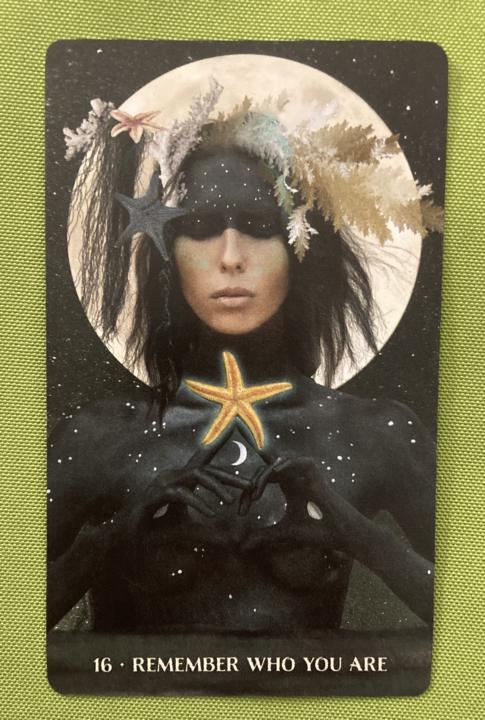 Wild Woman Rising Oracle Deck 
