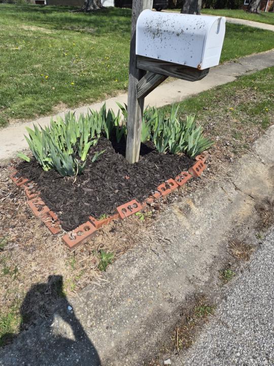 Yardwork Today
