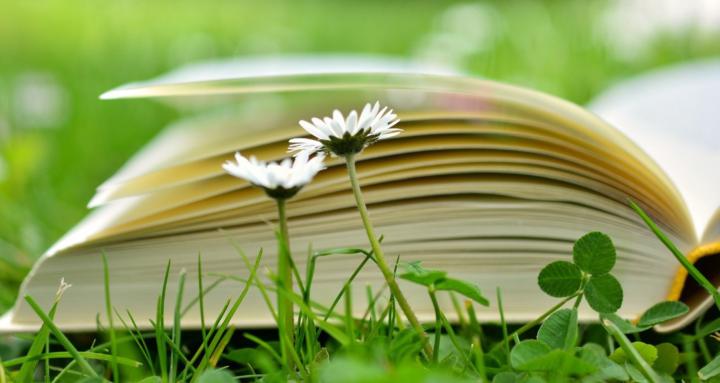 Physio & Healthcare Tutoring