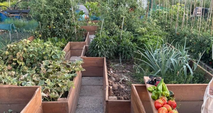 Hacking Outdoor Gardening