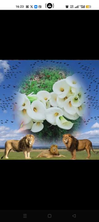 Rachid Ait ali ouomar