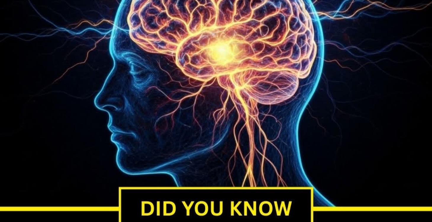 Scott Haug - Master of Modern Manifestation