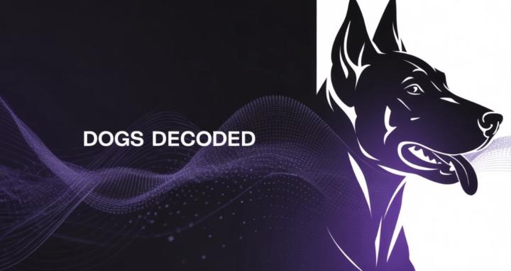 Dogs Decoded 