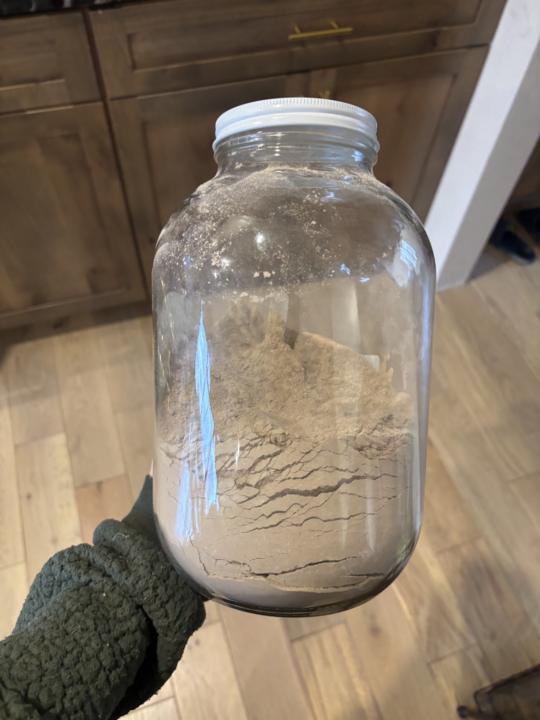 Protein Blend for kids