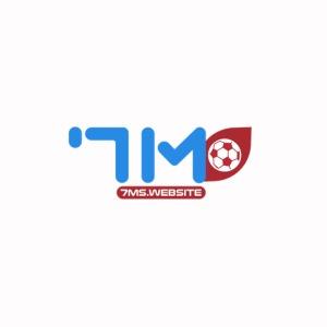 Ms Website