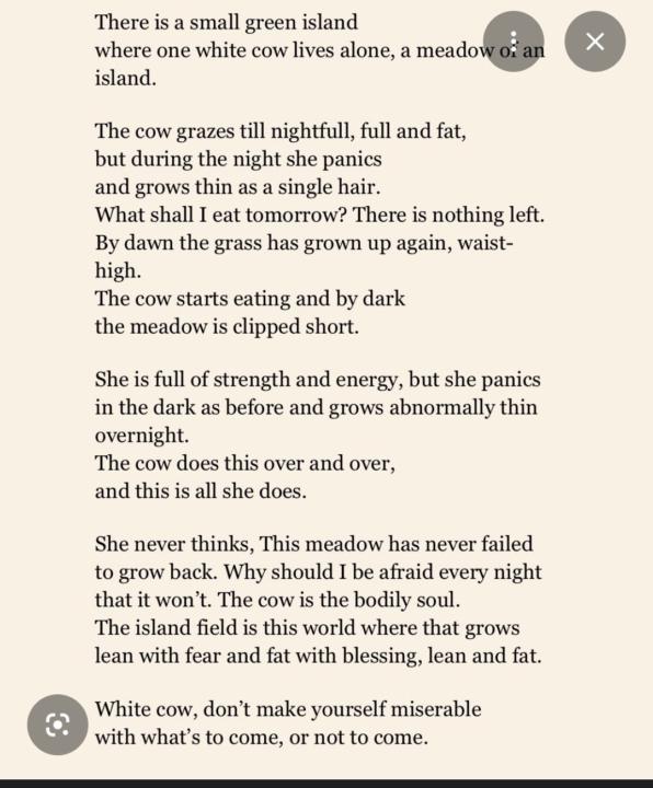 Rumi:  A Small Green Island