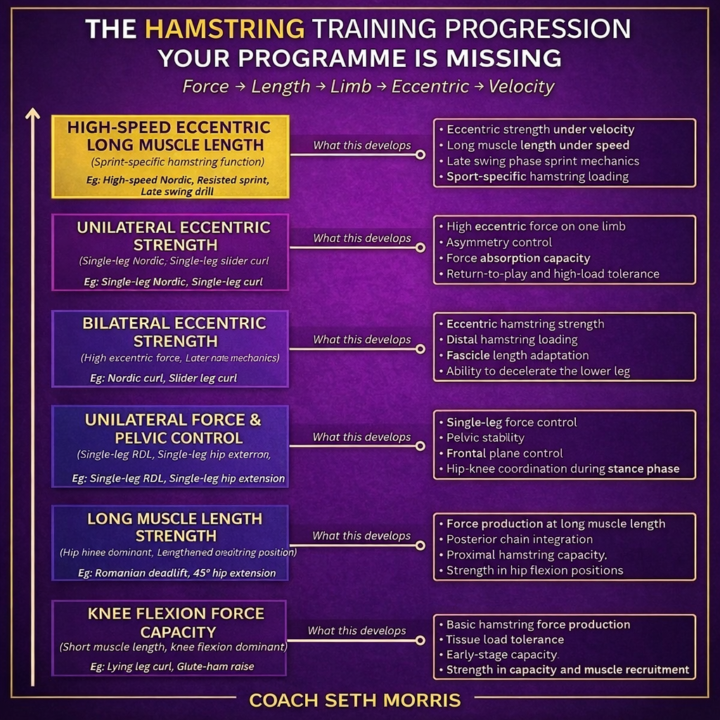 Hamstring Research 