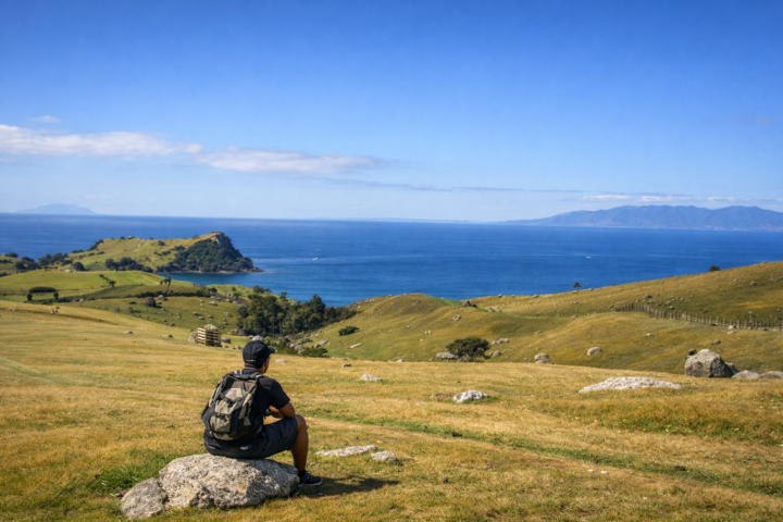 Personal Journal (2021)