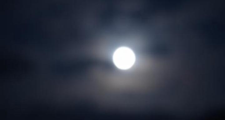 Steeped Tea Poetry 🍵