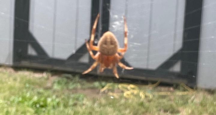 Daily Does of…you decide names