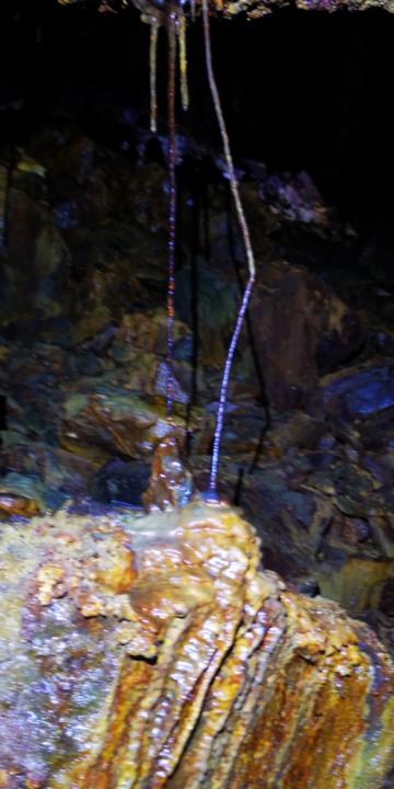 Antonio Corvi Marquez