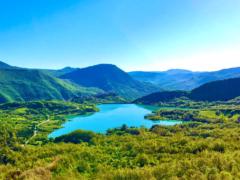 Margarita Moreno Preciados