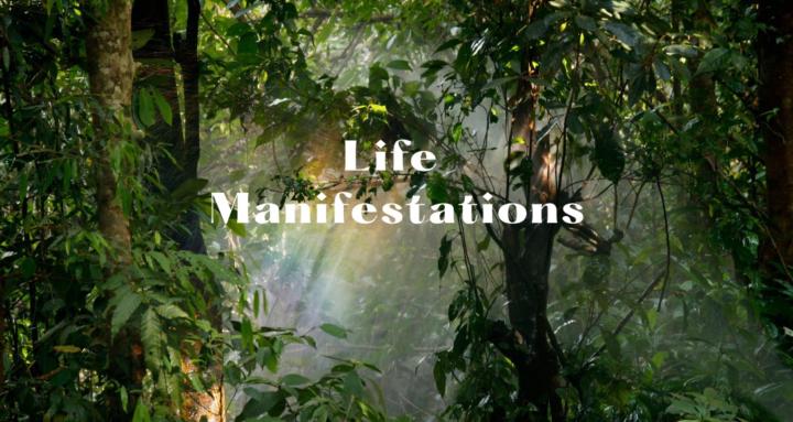 Life Manifestations