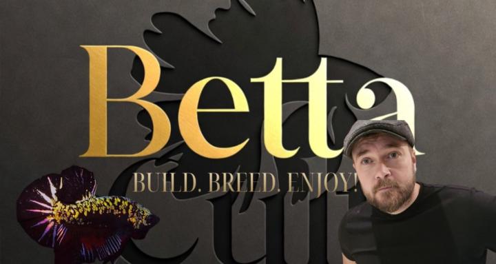 Betta Cult