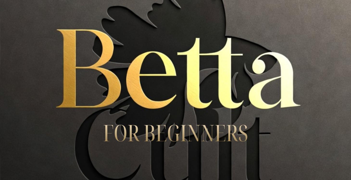 For Beginners