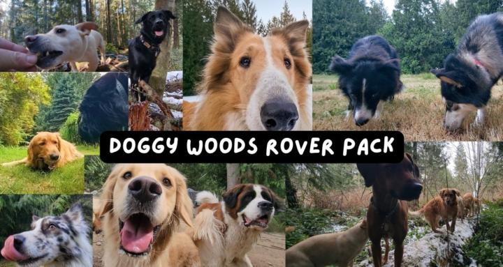 Doggy Woods-Rover Field Manual