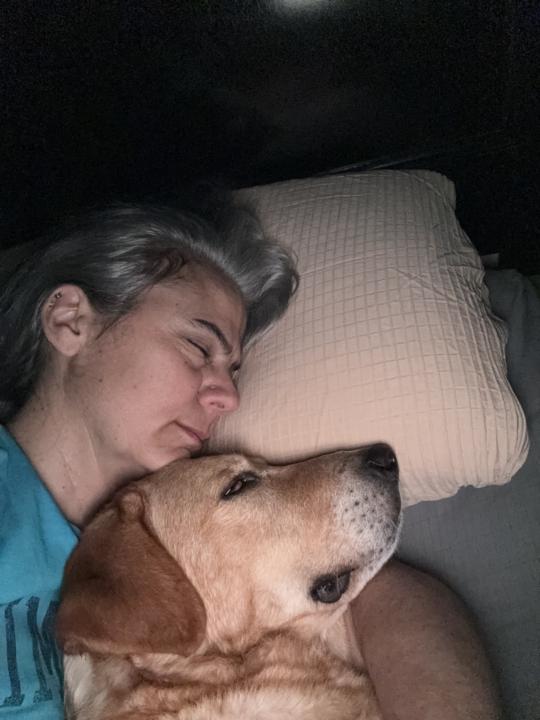 To adopt or not to adopt?