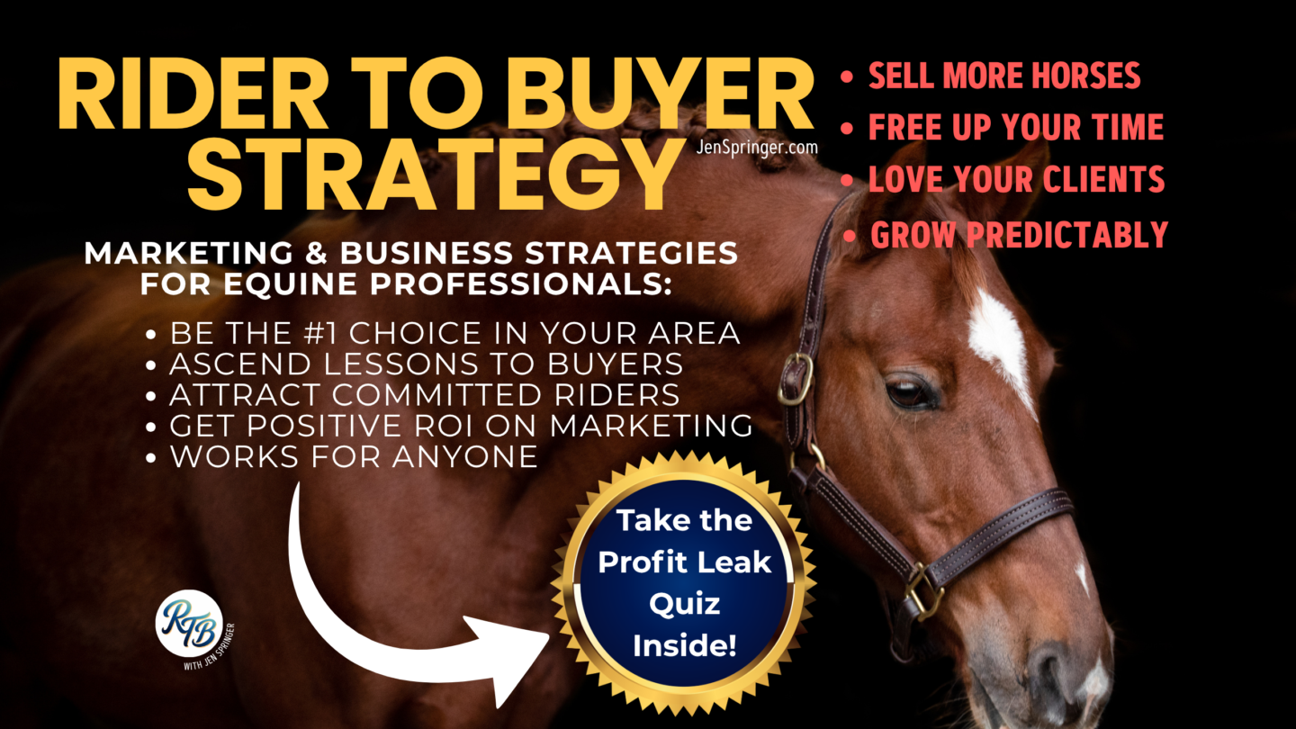 Equine Business Accelerator