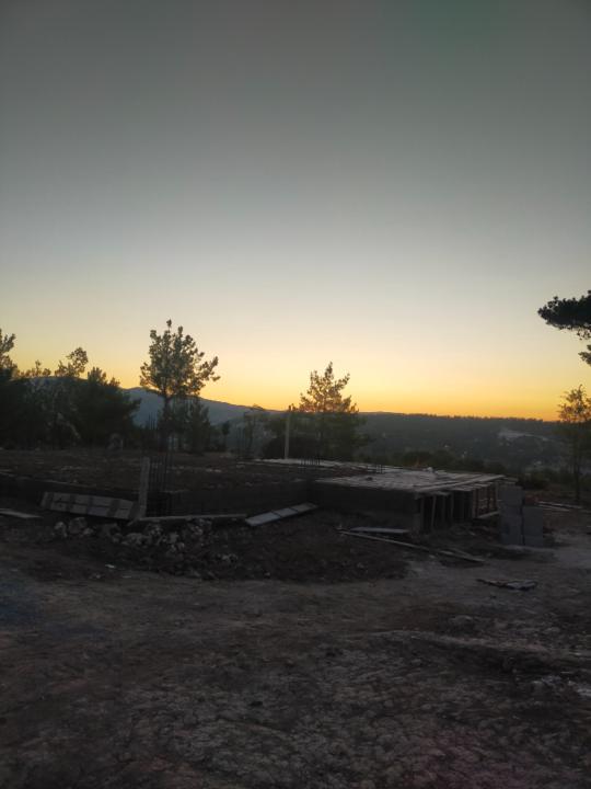 Betül Gündoğdu