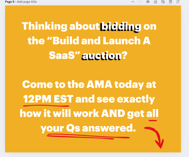 Want to bid in the auction, but have questions???