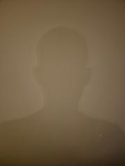 Paul Davis
