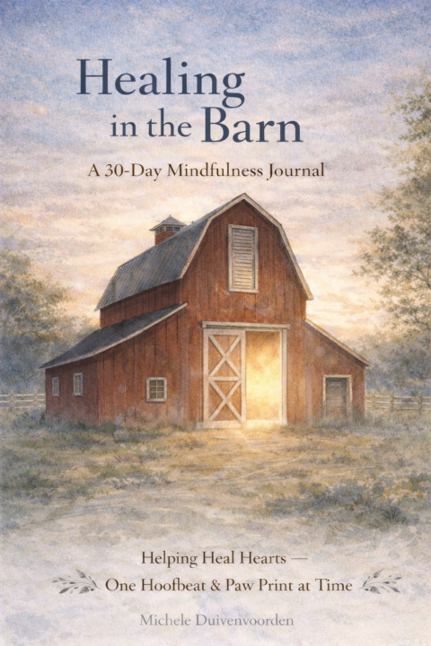 Books, Journals and Affirmations Cards