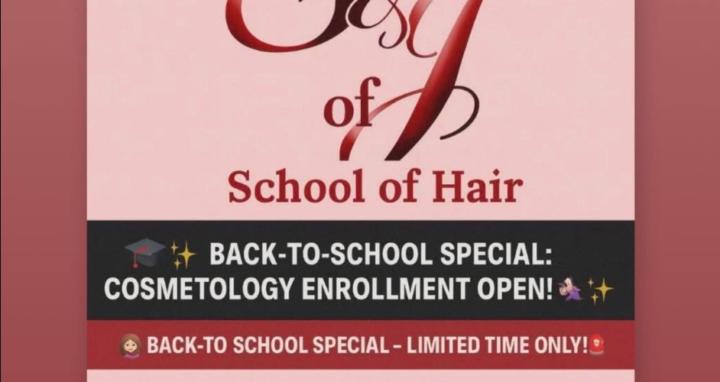 Sherita’s ladybugs