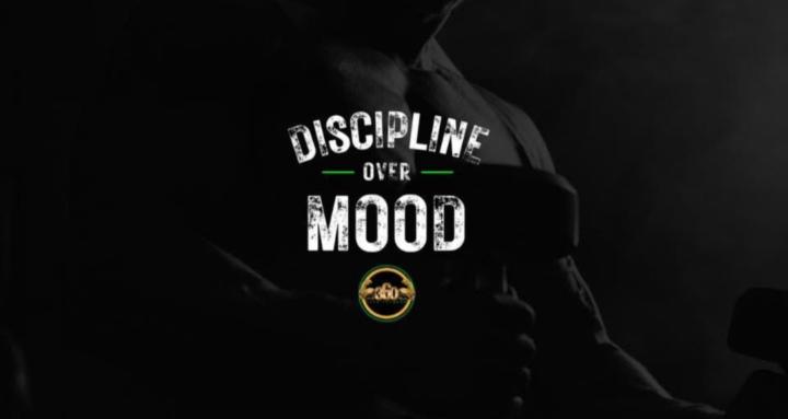 The Discipline Lab