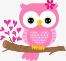 Pink Owl
