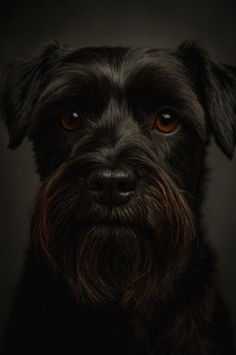 Mauricio Llanos Salgado