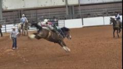 Layn Claxton