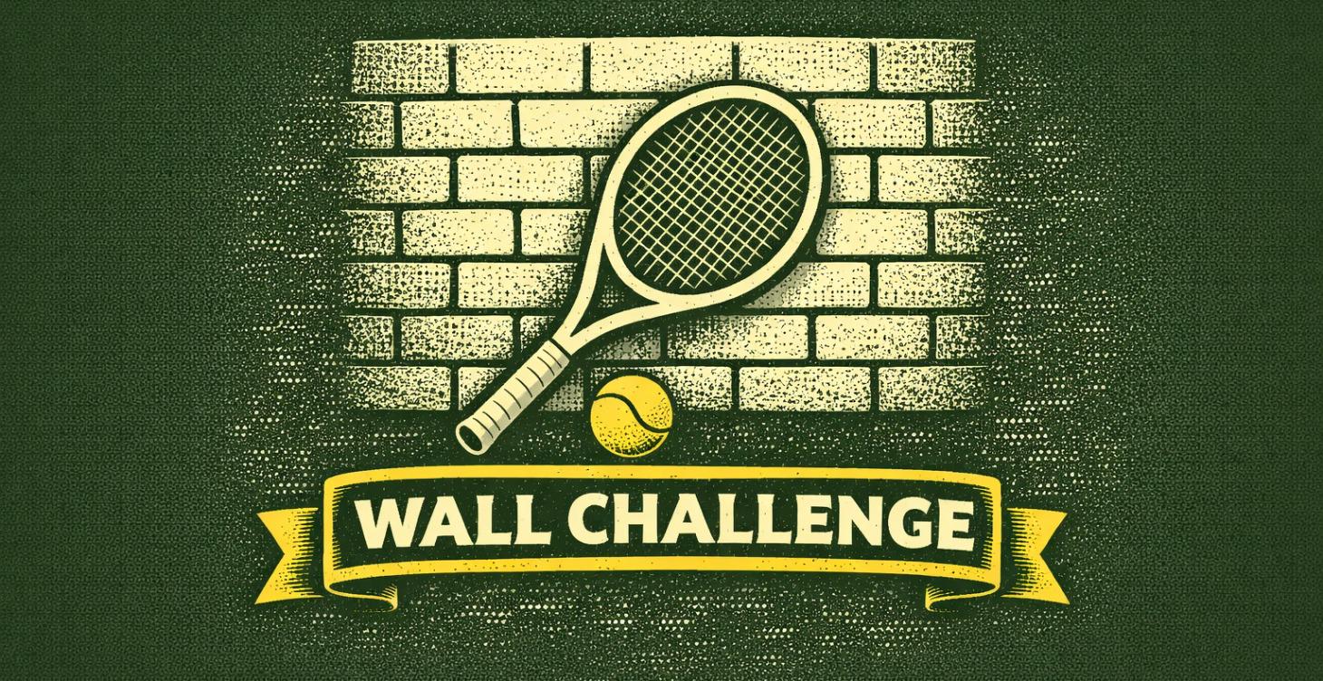 Wall Challenge!🧱